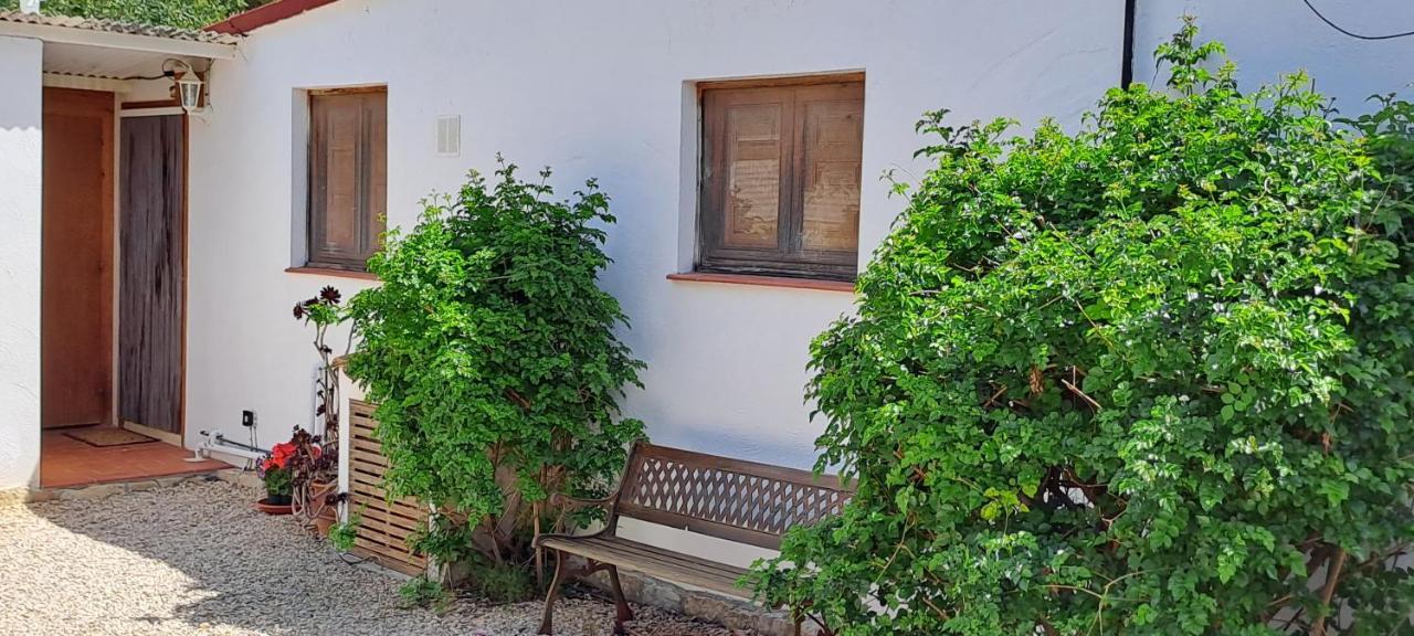 Finca Gamundi 安波拉 外观 照片