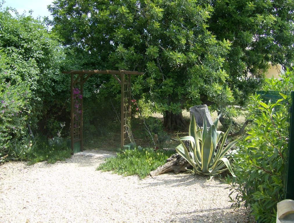 Finca Gamundi 安波拉 外观 照片