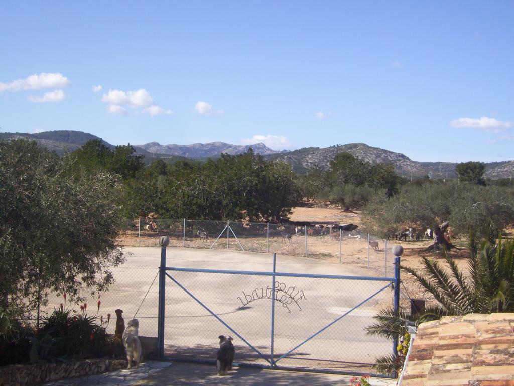 Finca Gamundi 安波拉 外观 照片